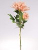 Um.kvet dahlia 173013